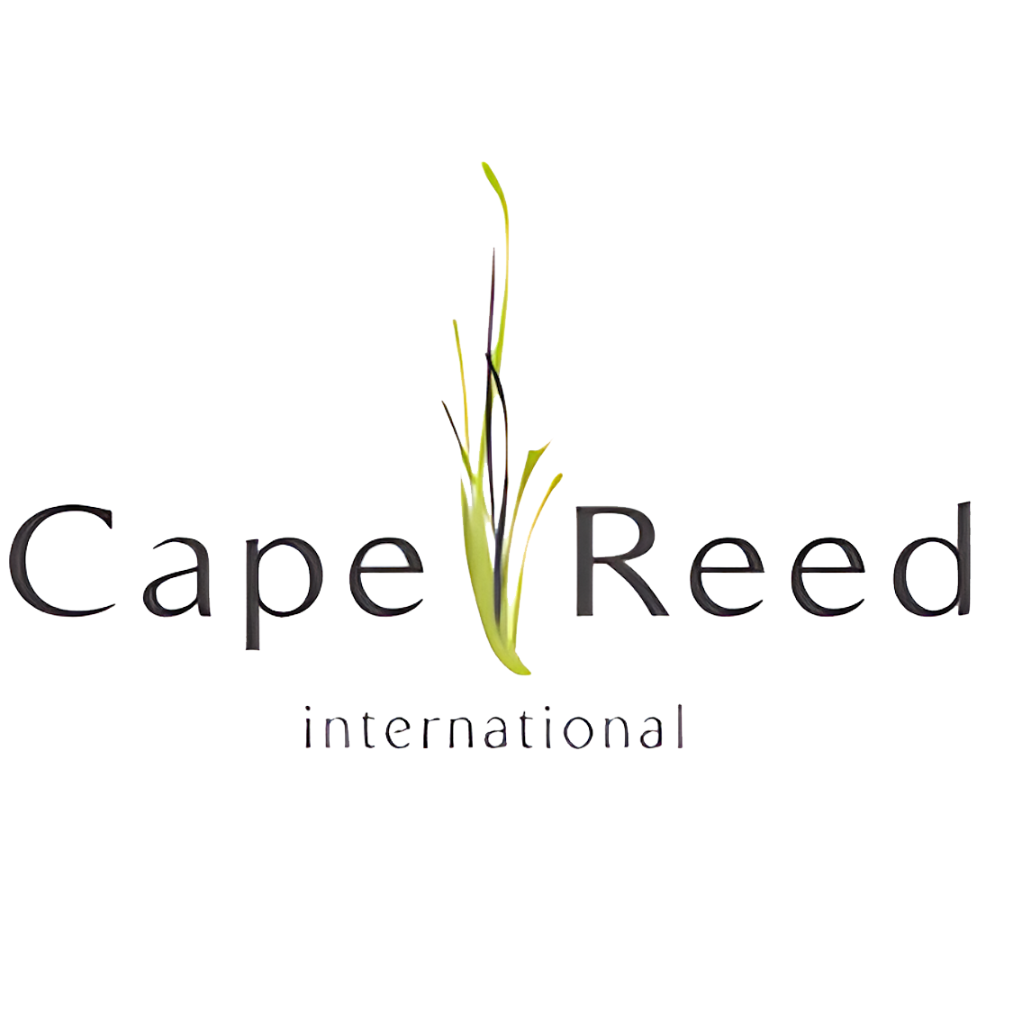 Cape Reed